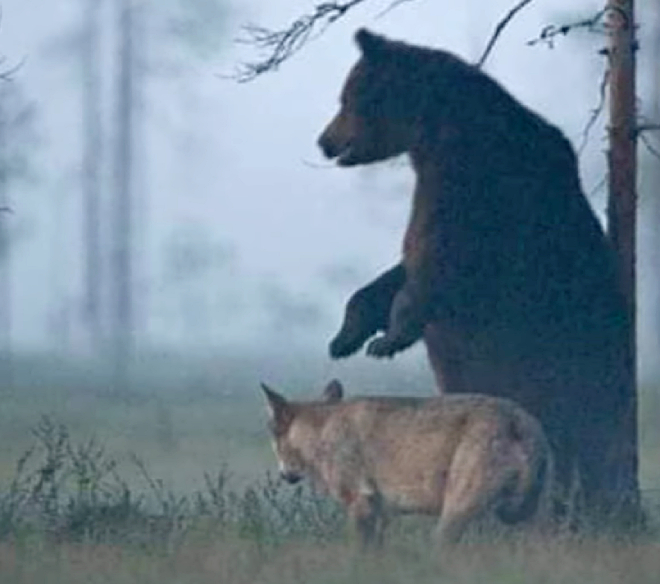 Кадр из видео @makenewser